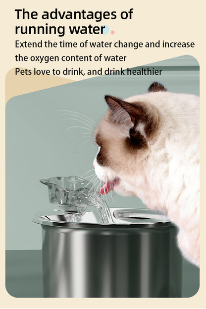 Smart Pet Water Feeder - 2L Stainless